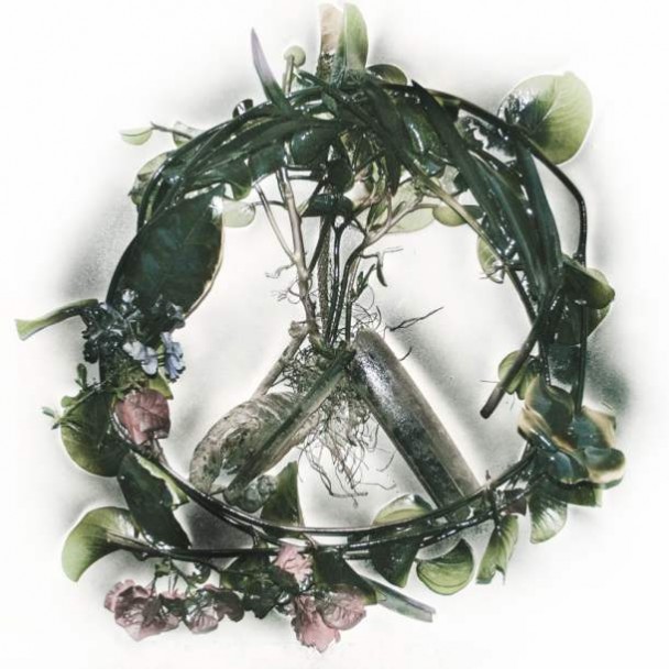 Wise Blood, EP These Wings