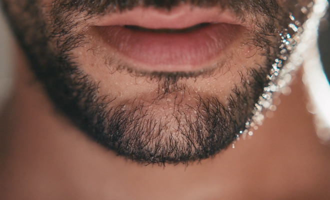 sweat matt lambert