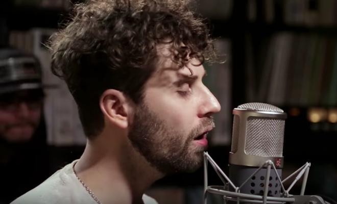 Yellow Shoots « Desert Rose »