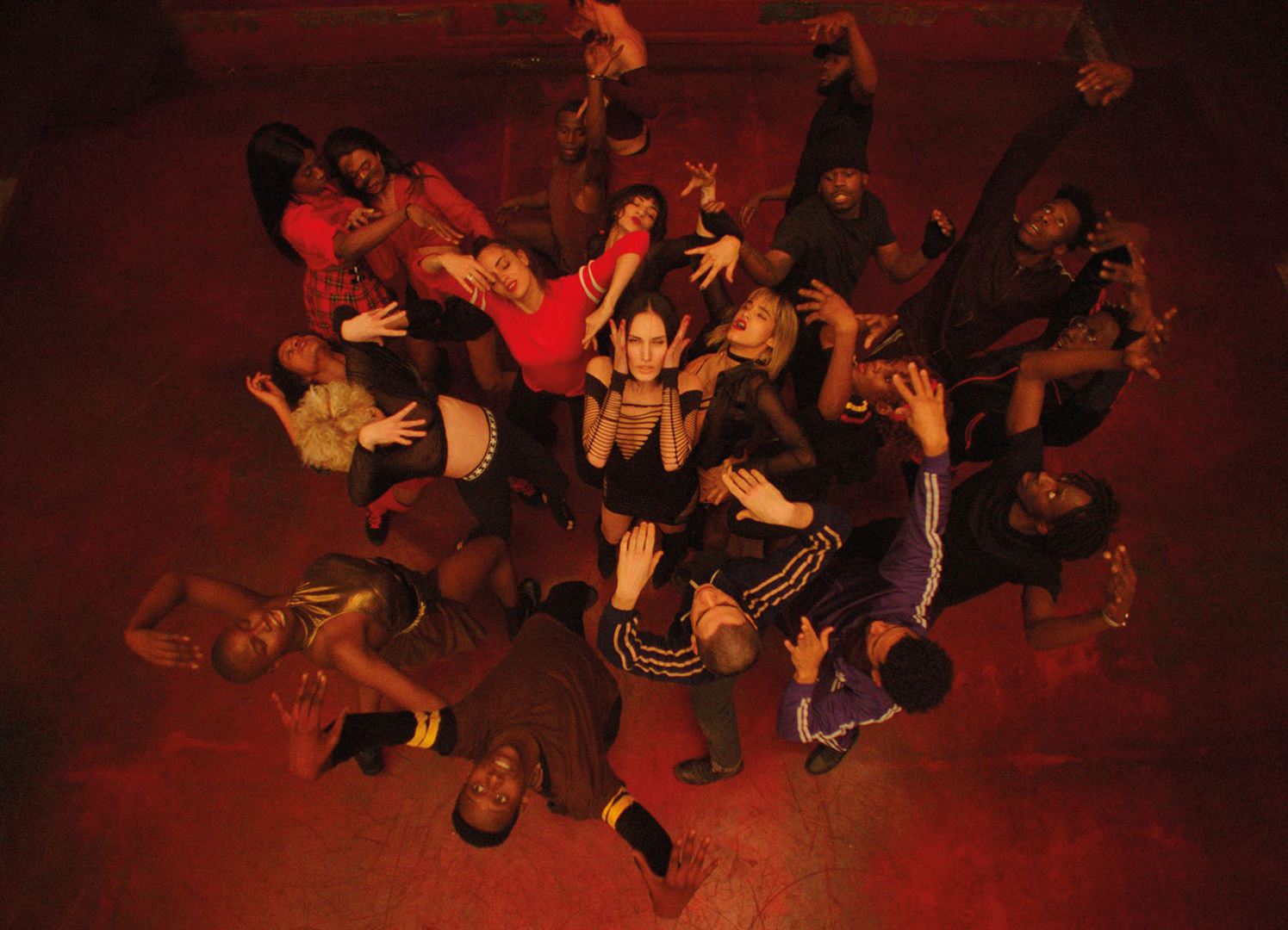 climax gaspar noé