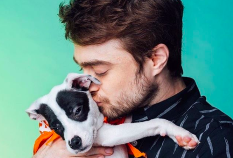 Nos acteurs chéris feat. Hugh Jackman, Félix Maritaud, Daniel Radcliffe…