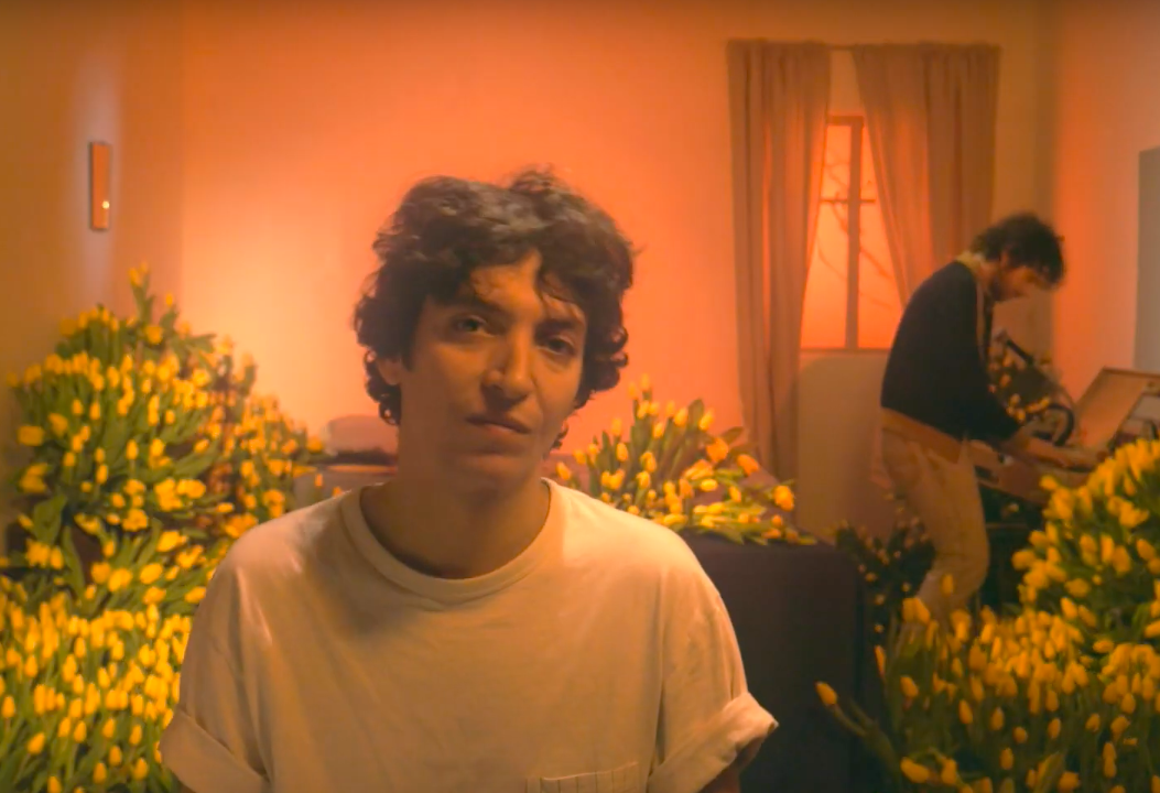 Supernova Immarescible Rose