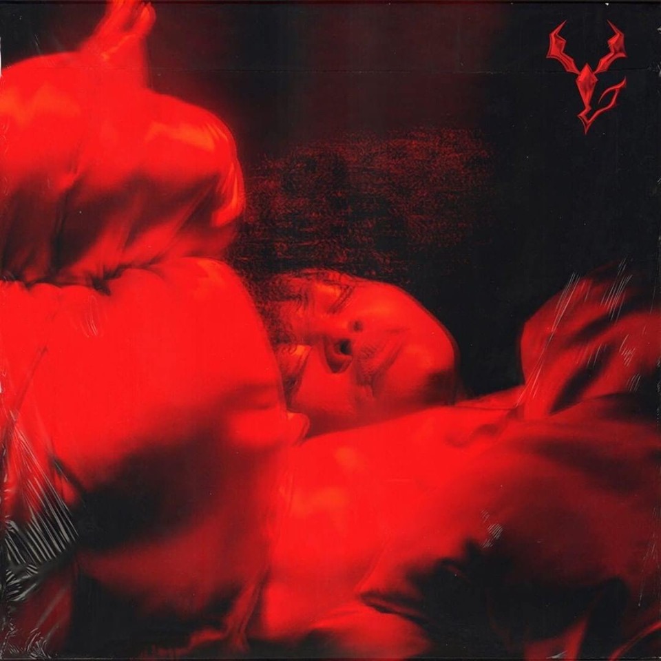 yseult rodéo