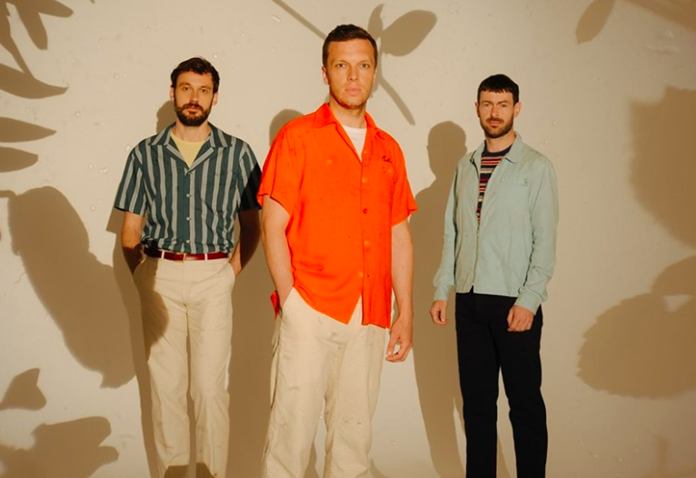 friendly fires inflorescent