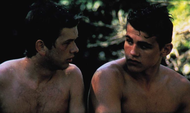 les roseaux sauvages