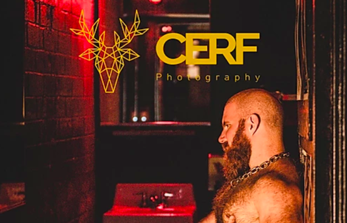 cerf photography livre