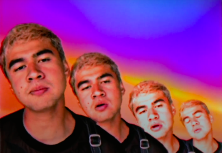 5 seconds of summers wildflower