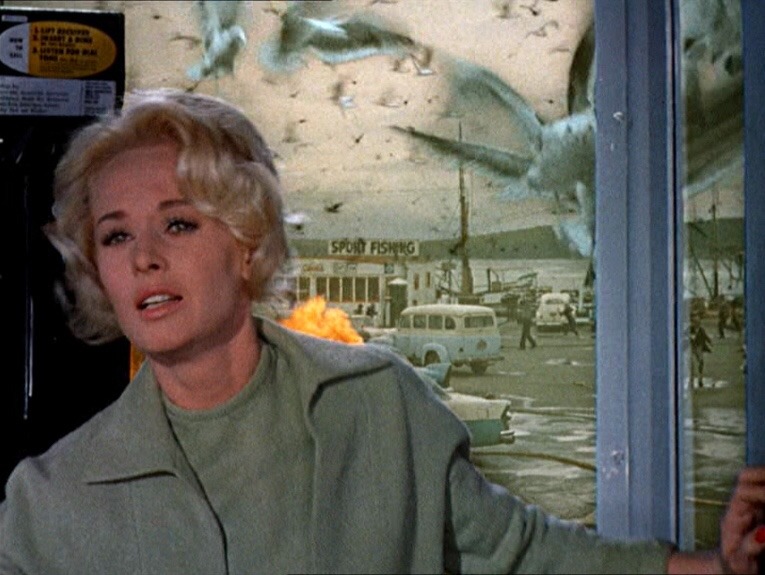 les oiseaux hitchcock