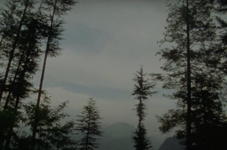 bingo club separated