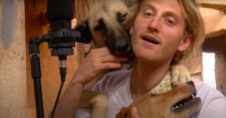 Petit Prince signe déjà la meilleure session live de l’année dans un refuge animalier