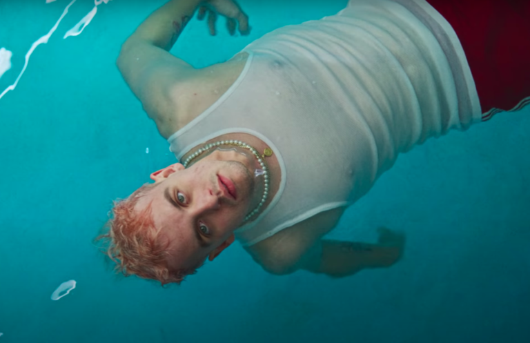 les louanges pigeons