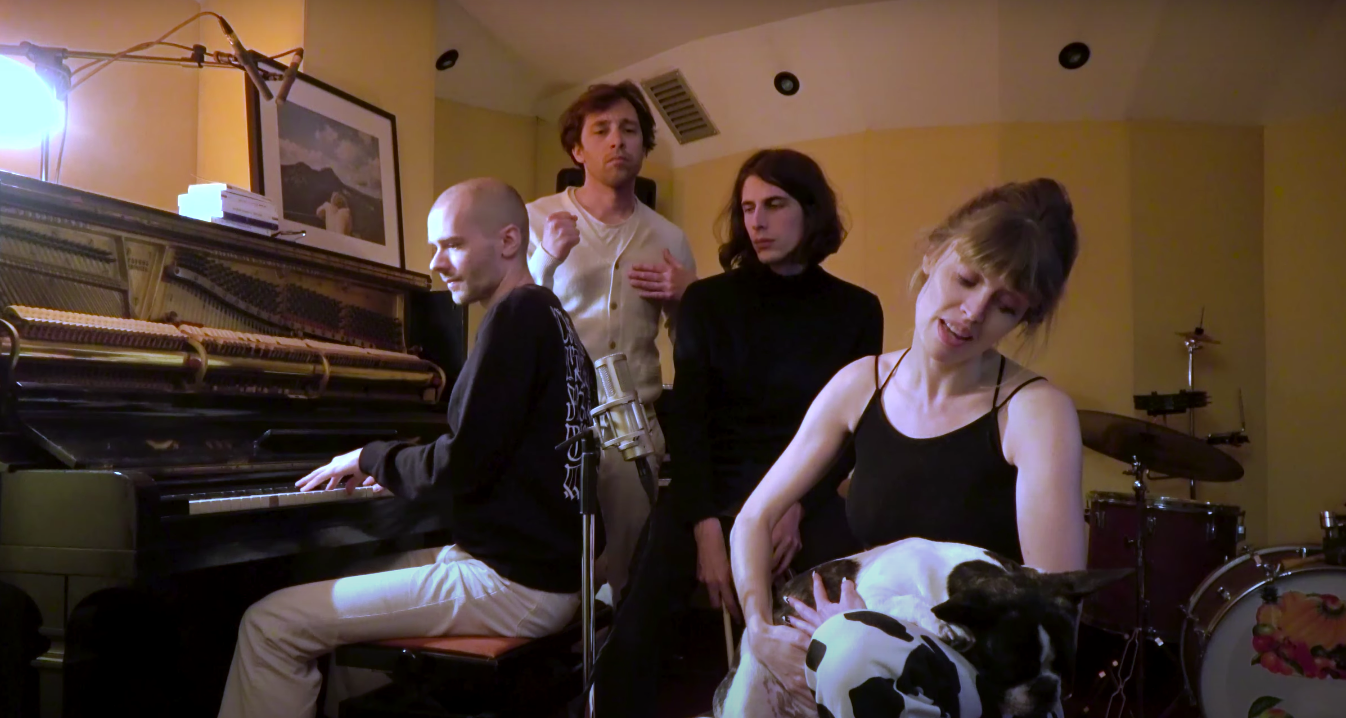 catastrophe chien français