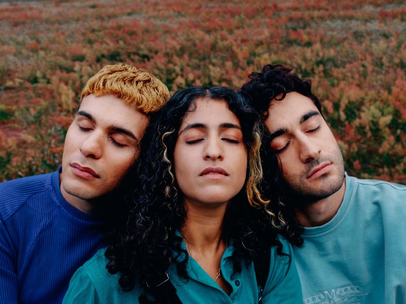 no hard feelings film