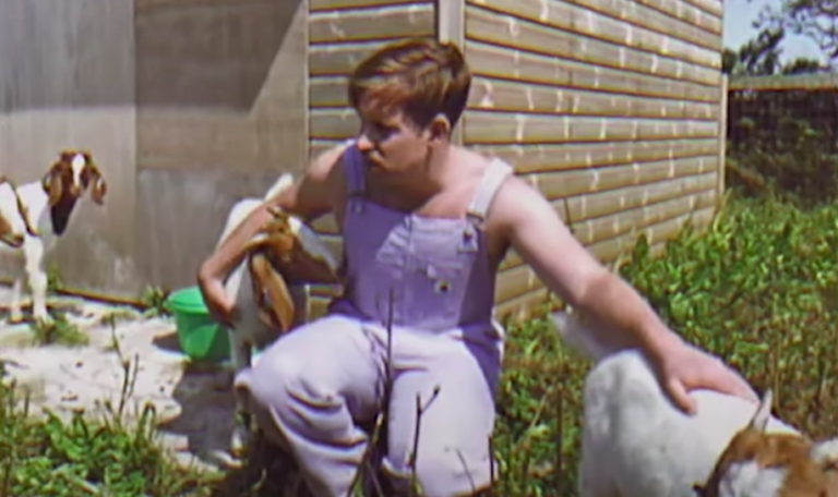 rhumba club primitive