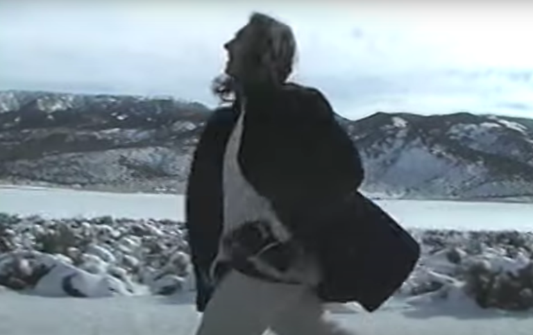 boy willows quick stop by