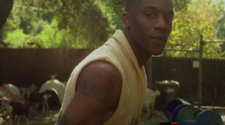 sunni colon flowerbug