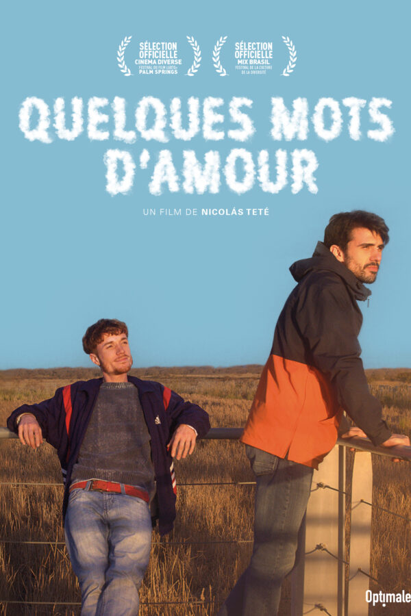 affiche du film quelques mots d'amour