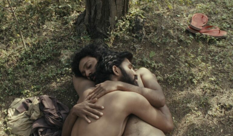 cactus pears film gay