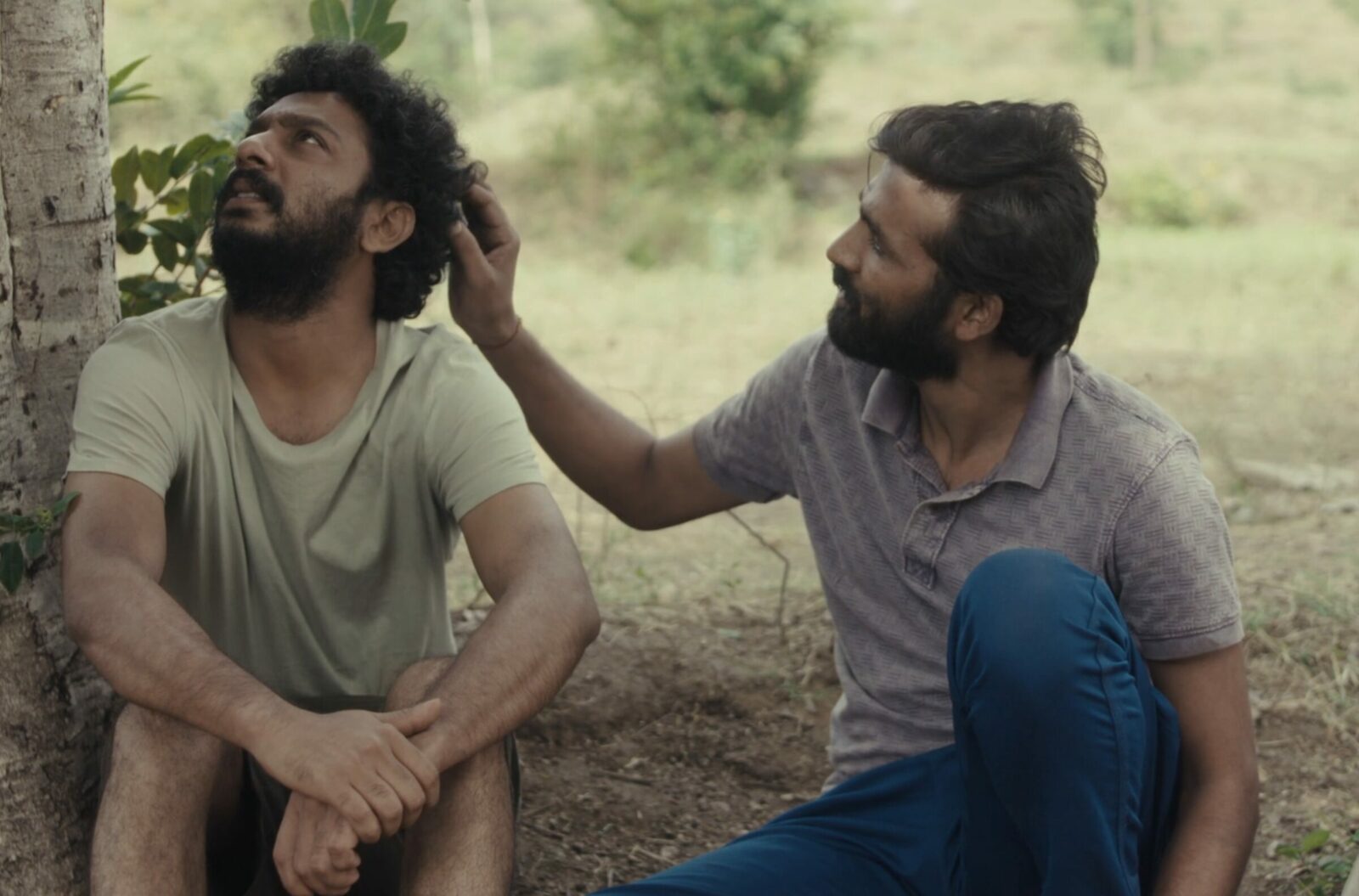 cactus pears romance gay 