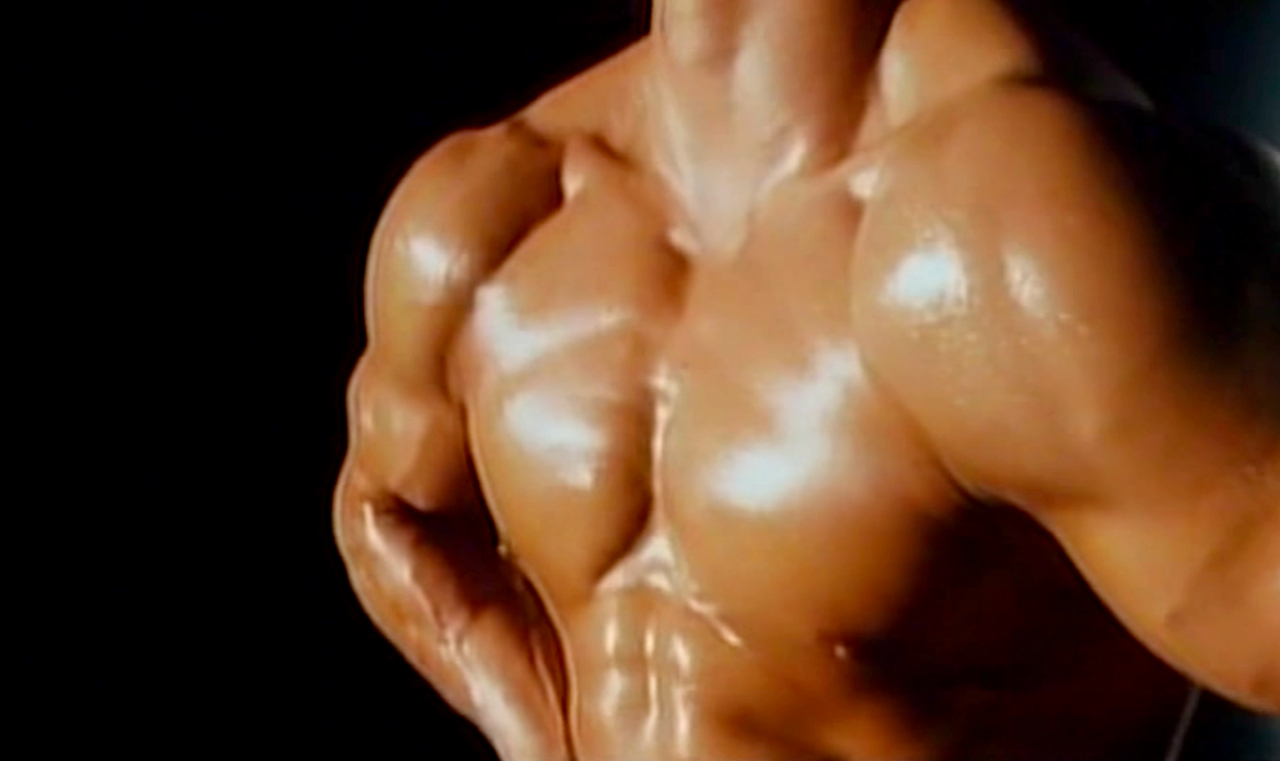 muscle, le film rare et subversif de Hisayasu Satô